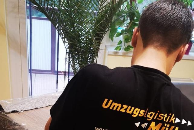 Preise für Ihren Studentenumzug in Scheibenberg